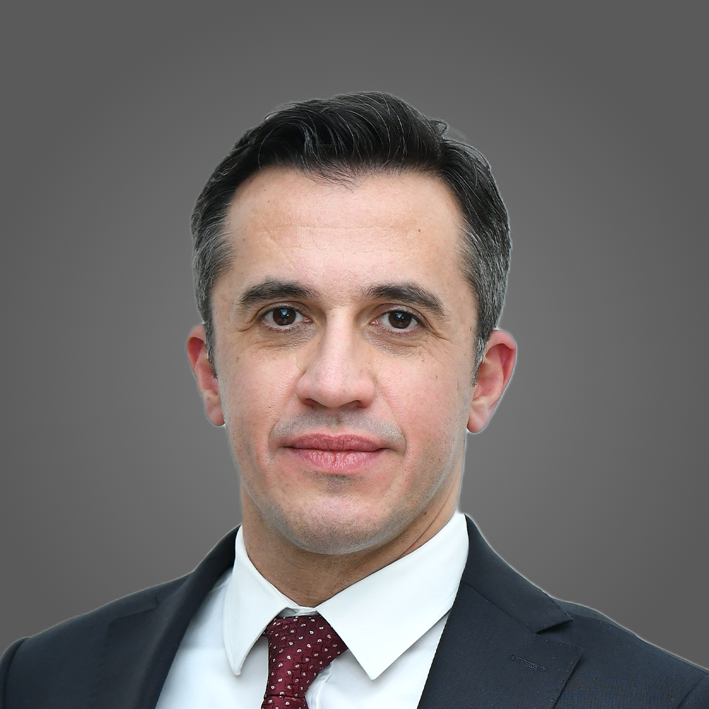 about us investor relations corporate information senior management hamdi ilkay girgin image