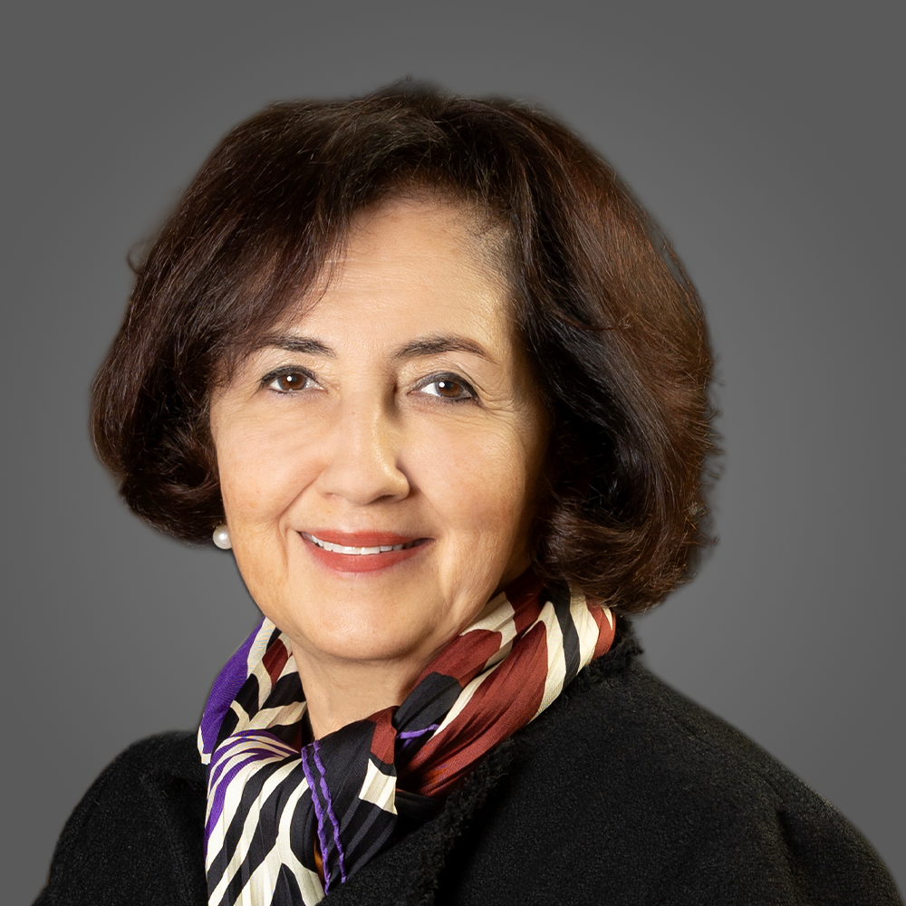 about us investor relations corporate information board of directors hamdi ilkay girgin image