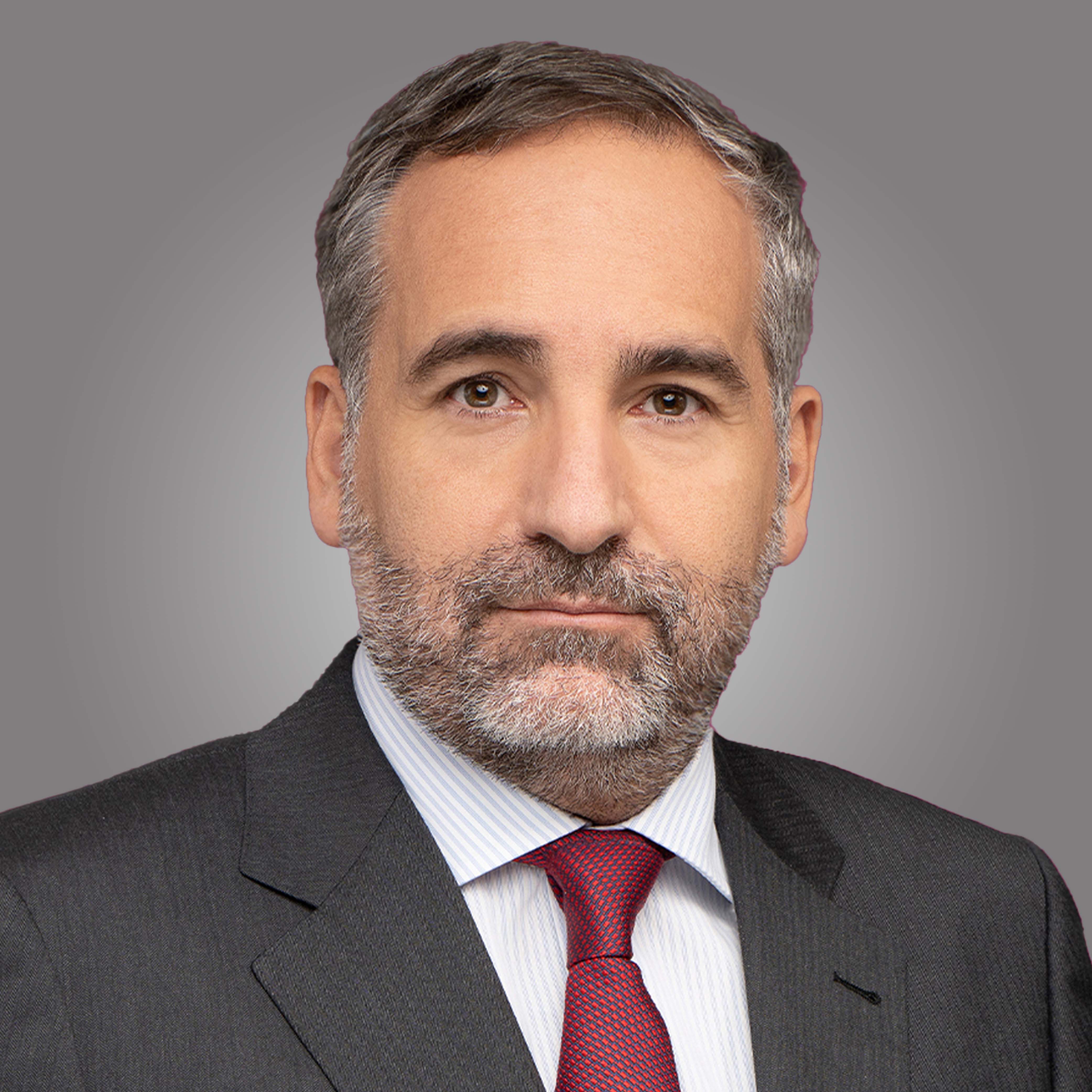 about us investor relations corporate information board of directors paul gossiaux image